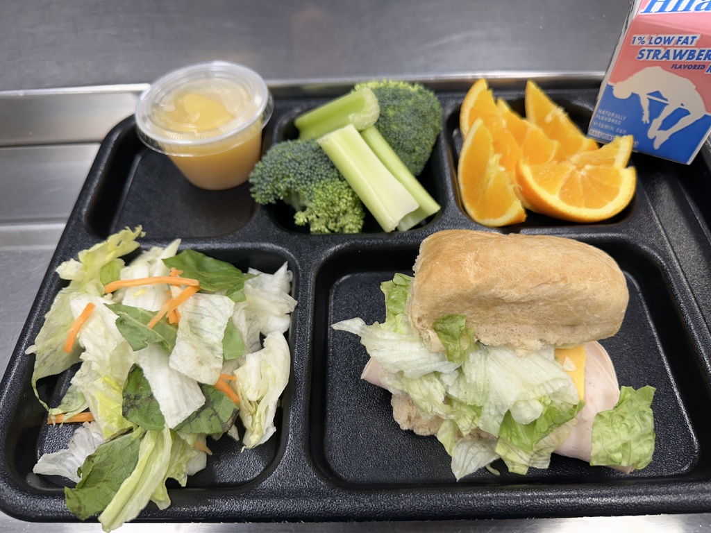 Turkey and Cheese Sub