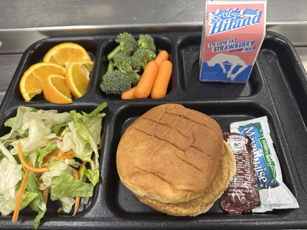 Chicken Patty Sandwich