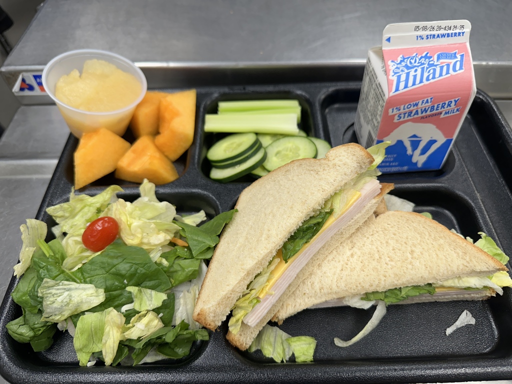 Turkey and Cheese Sandwich