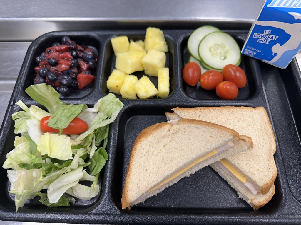 Turkey and Cheese Sandwich