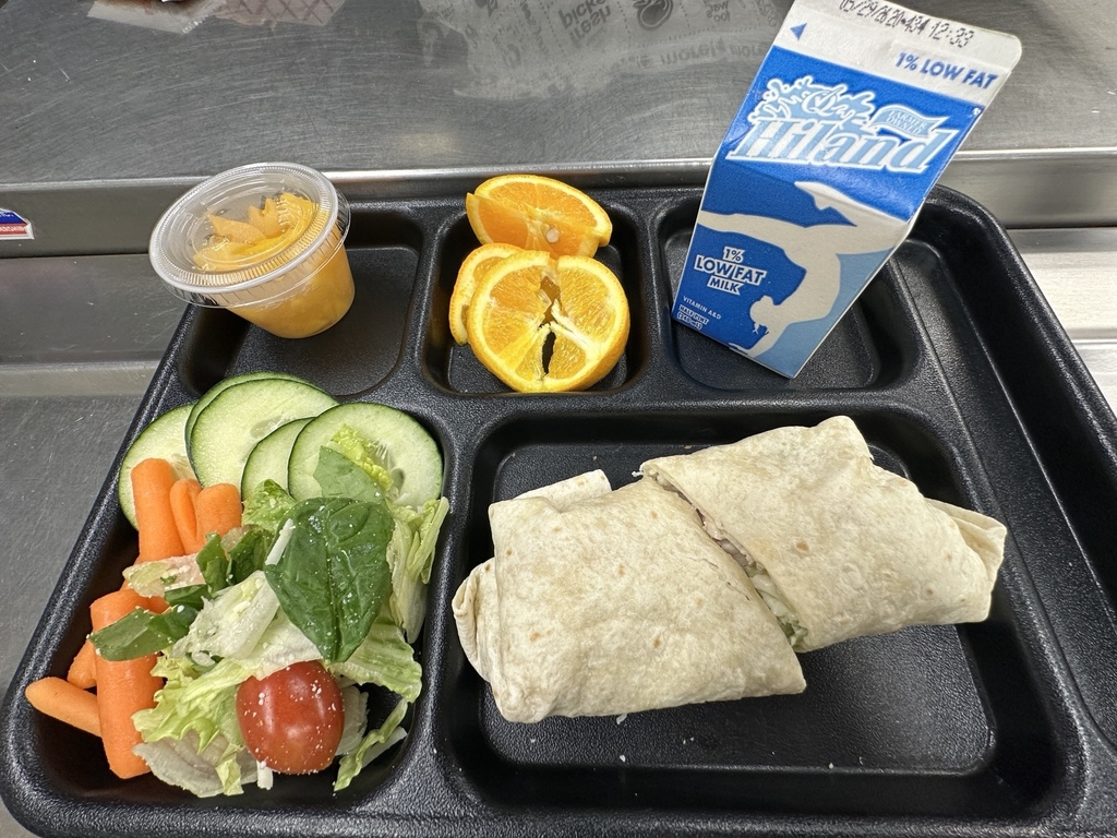 Chicken Caesar Wrap