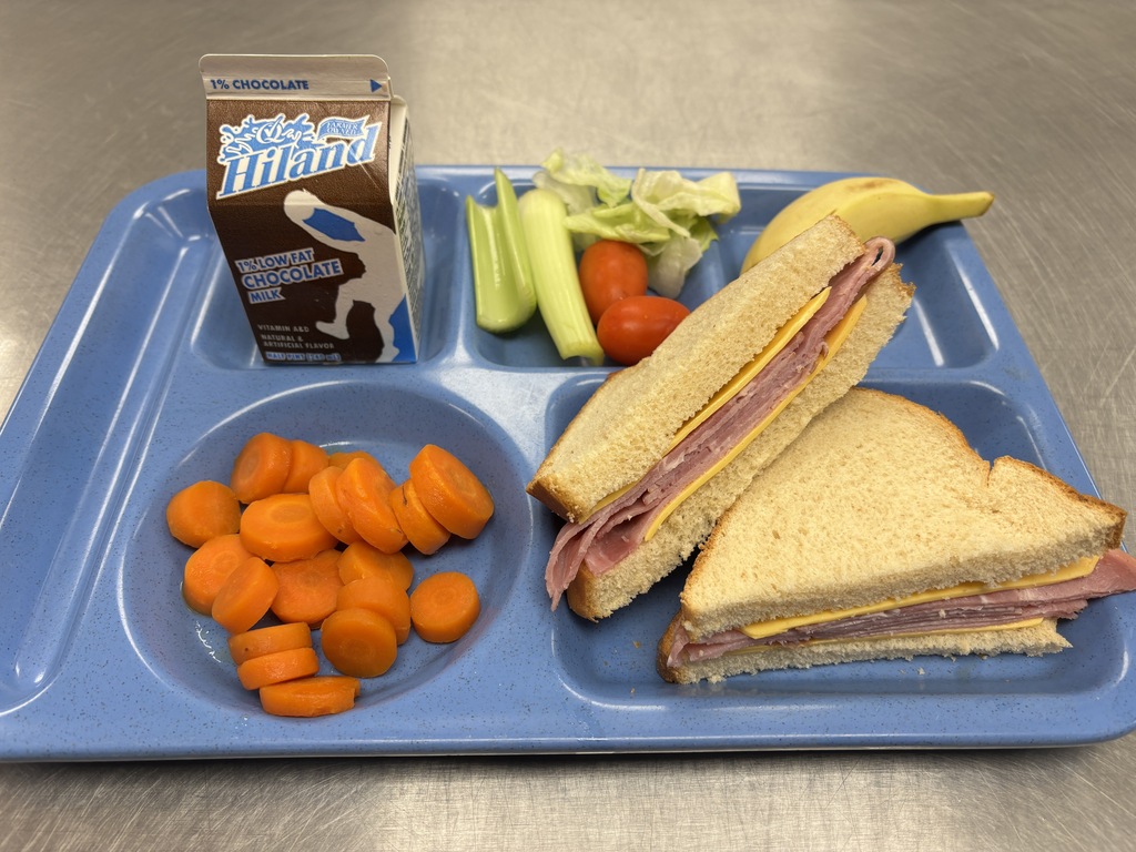 Ham and Cheese Sandwich