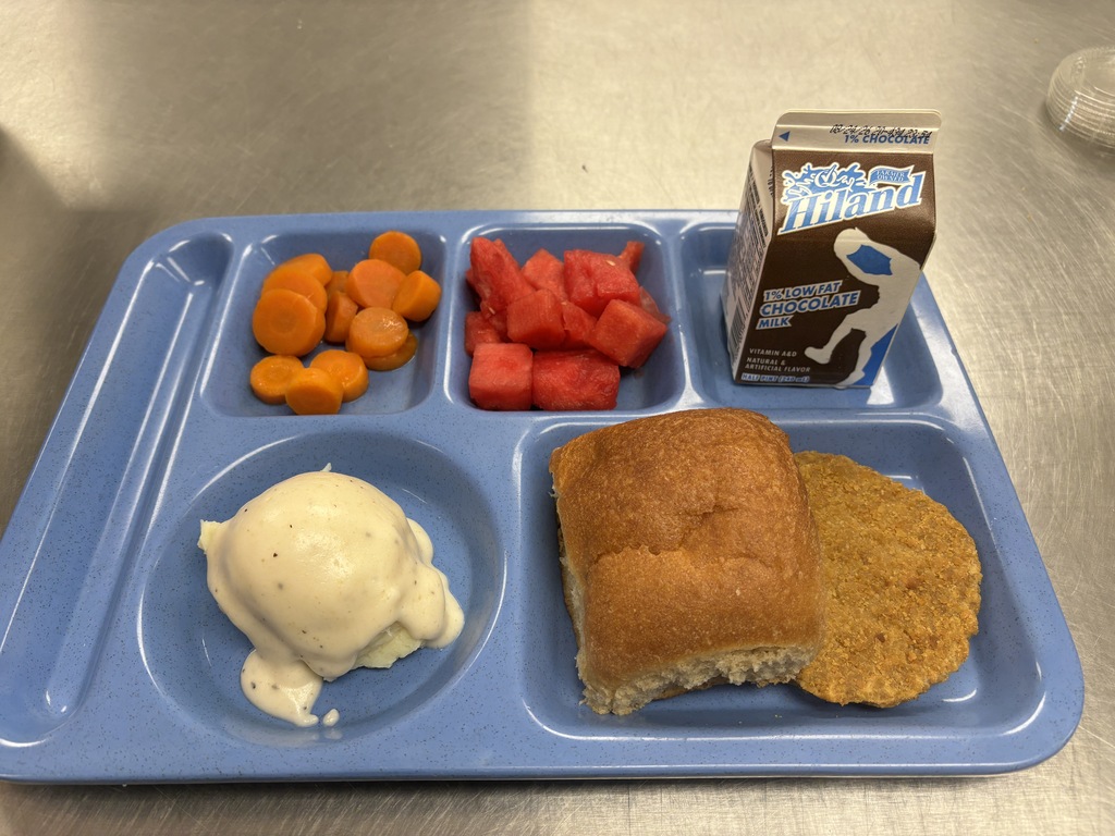 Chicken Patty