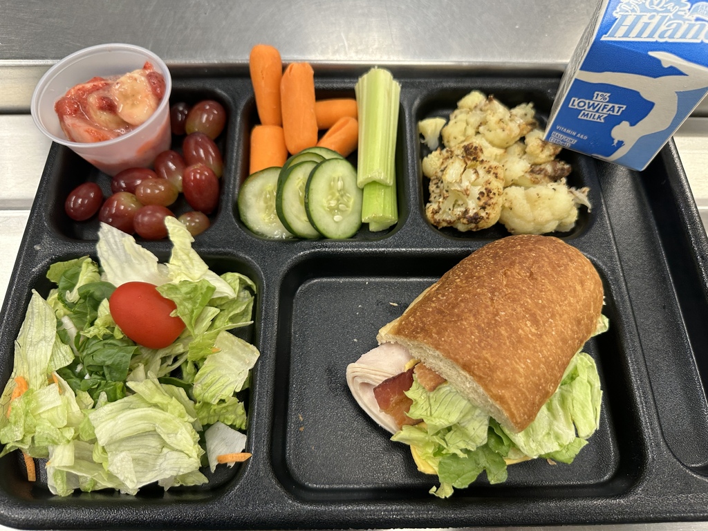 Turkey Club Sub