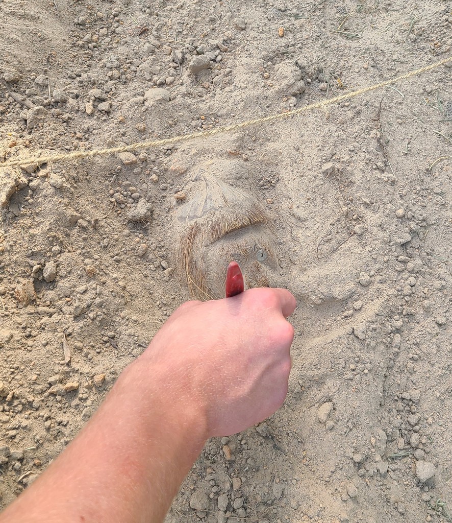 Found something!