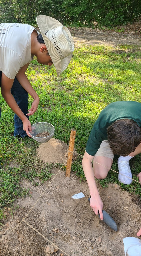 Sifting