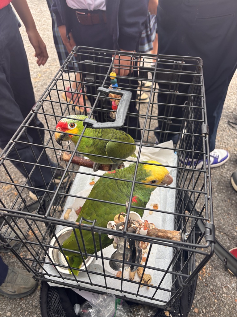aa