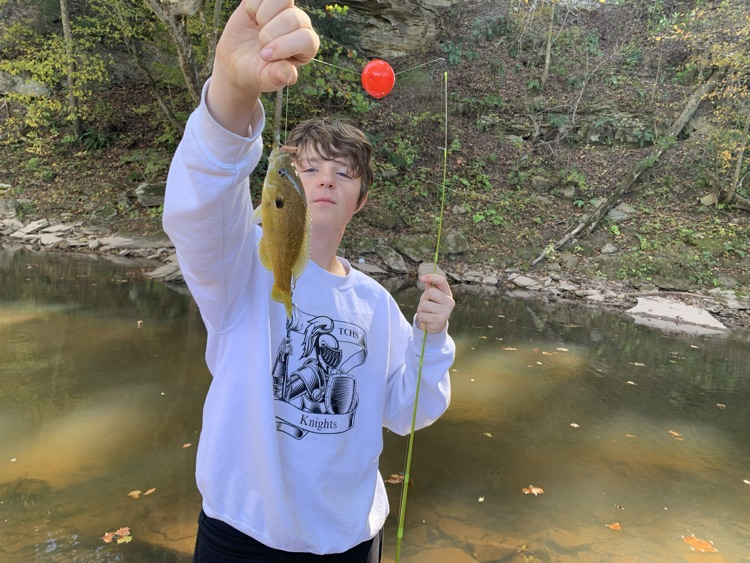 blue gill