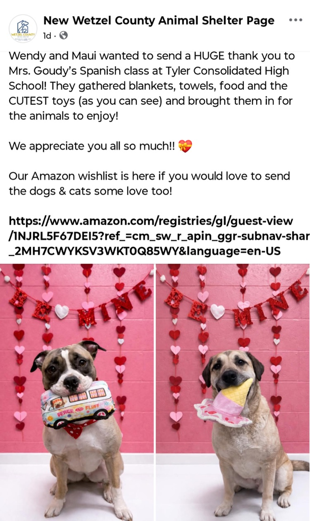 dogs with their toys 