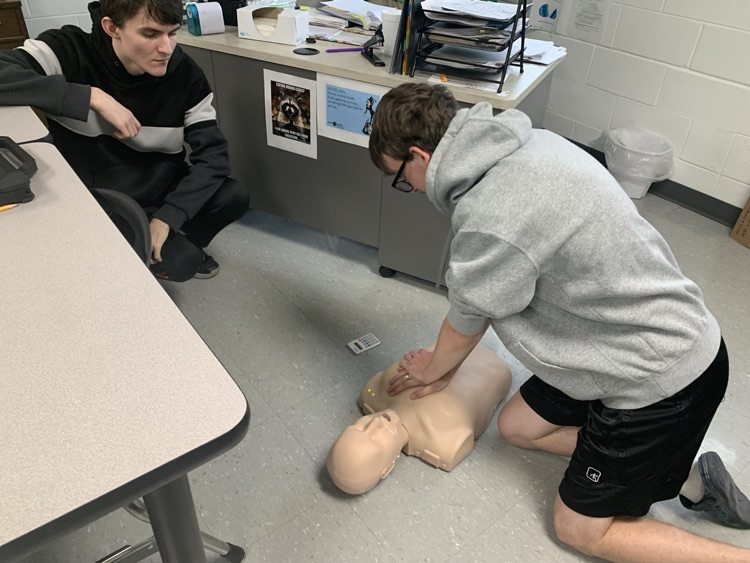 adult cpr 