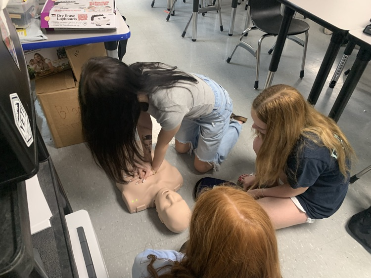 Adult CPR