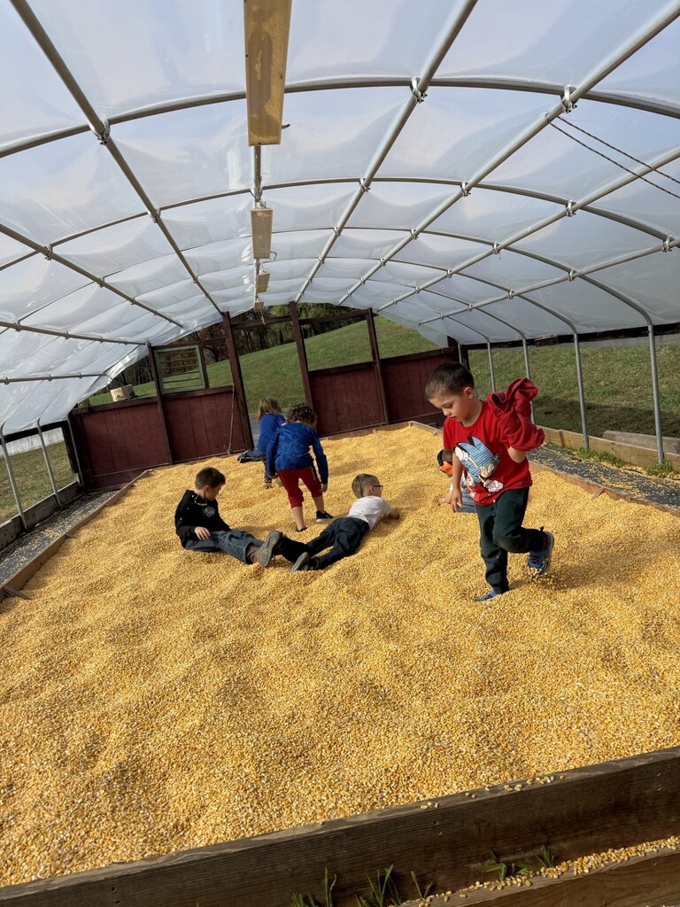 farm