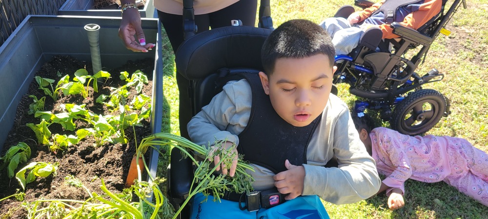 Student exploring farm produce