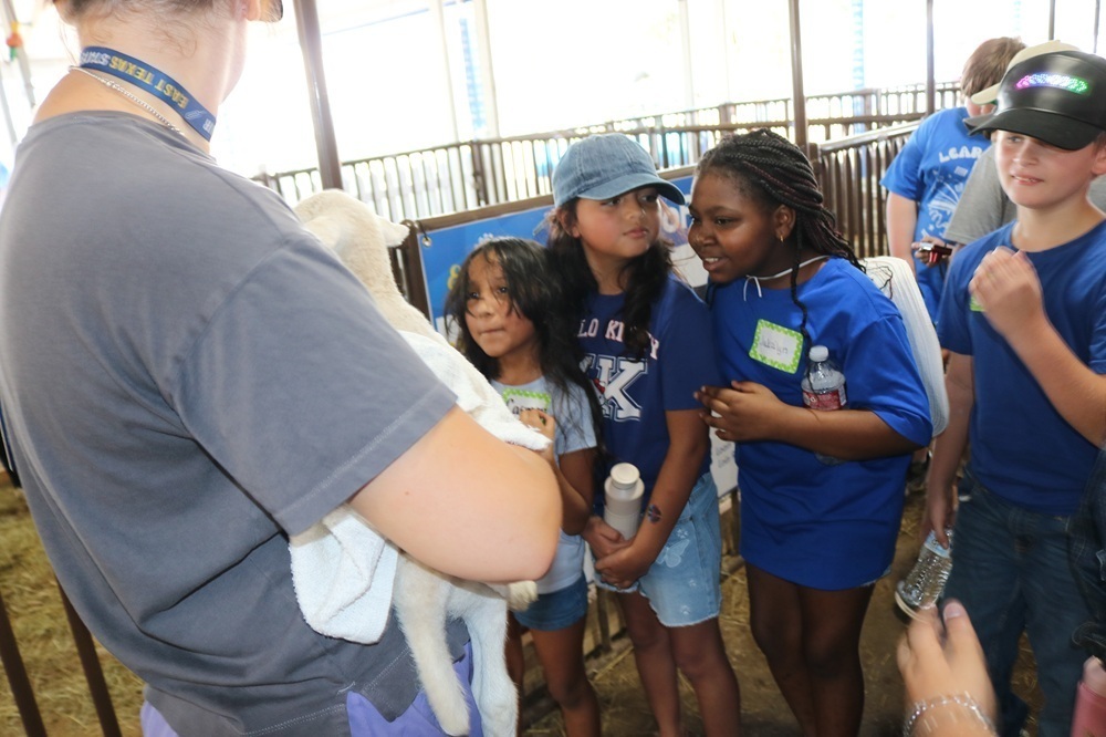 woman holding lamb and showing it to elementary age kids in pen