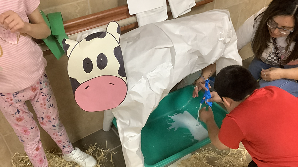 young boy simulates milking a paper-mache cow