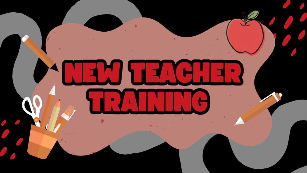 new teacher training article