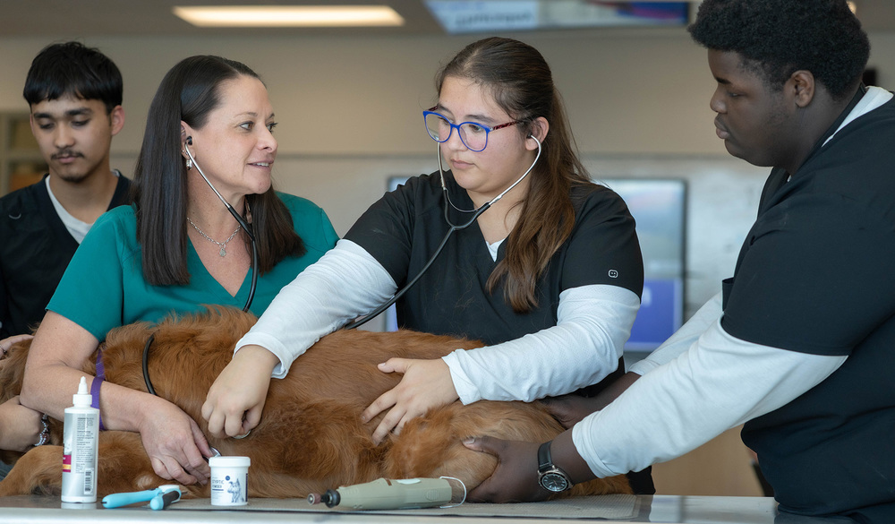 woman and teen girl listen to dog heartbeat with stethoscopes