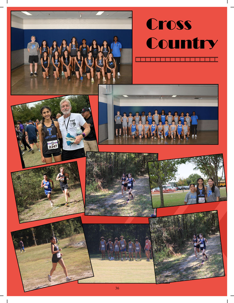collage of images