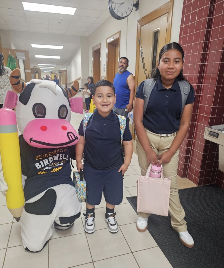 cow and students