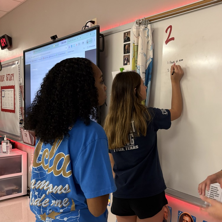 vertical boards in social studies