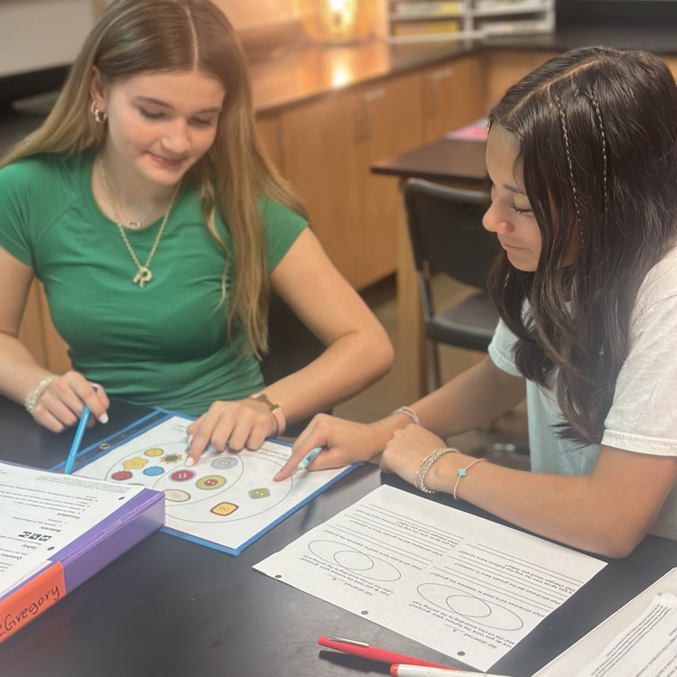 students working on classifying matter