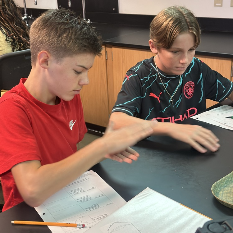 students working on classifying matter