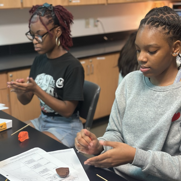 students working on classifying matter