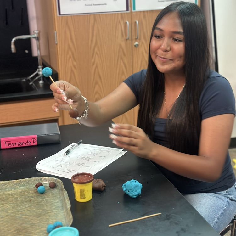 students working on classifying matter