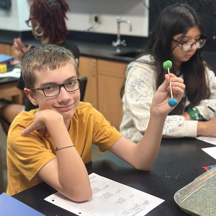 students working on classifying matter