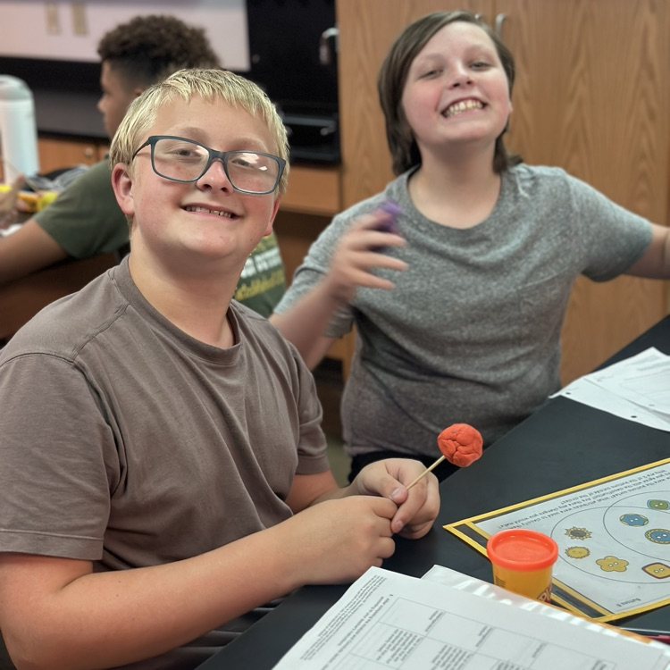 students working on classifying matter