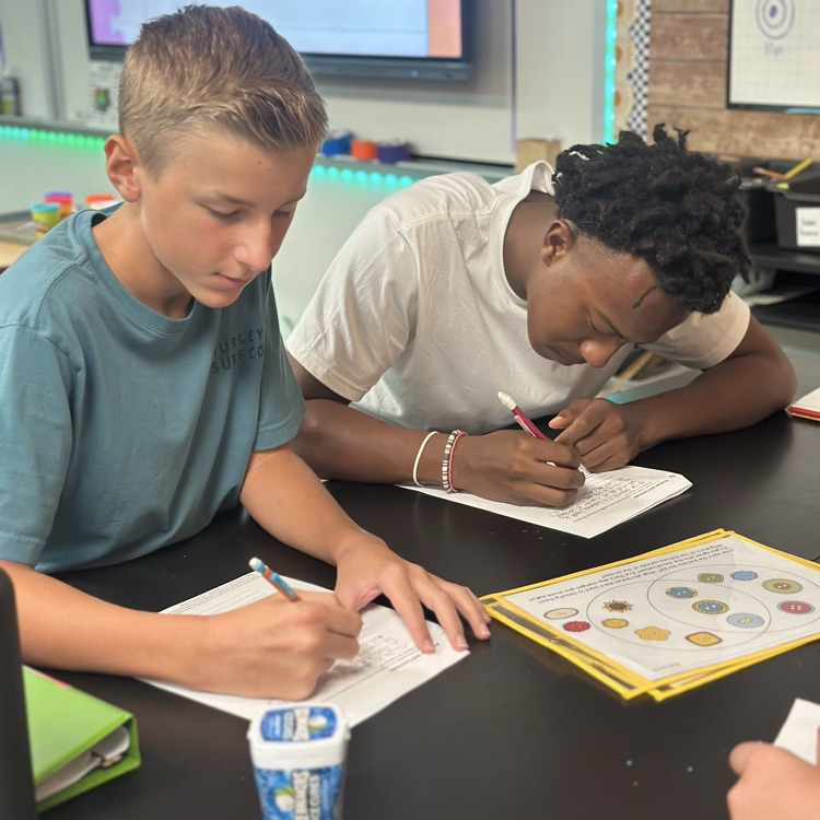 students working on classifying matter
