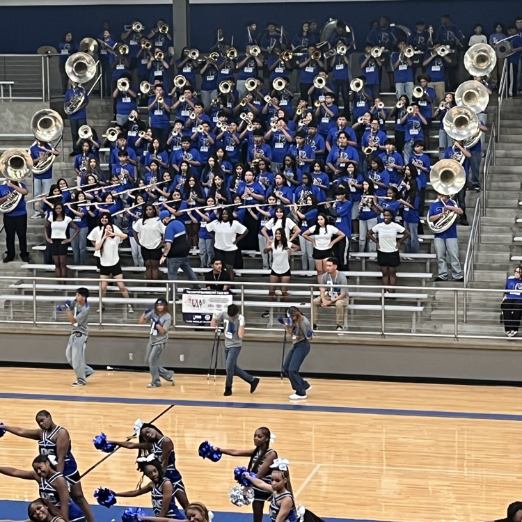 band in the stands
