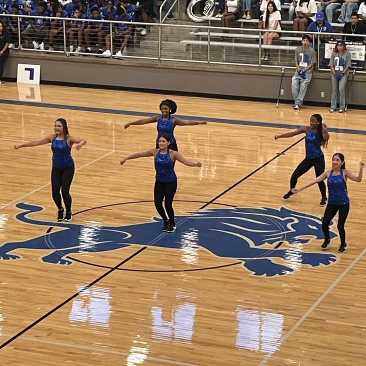 drill team performing dance