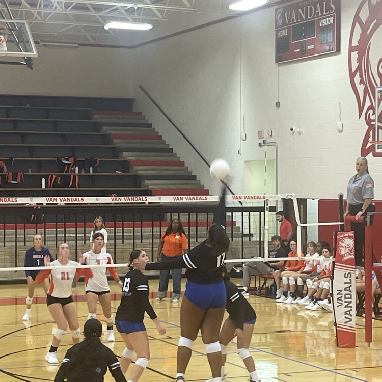 volleyball player on court