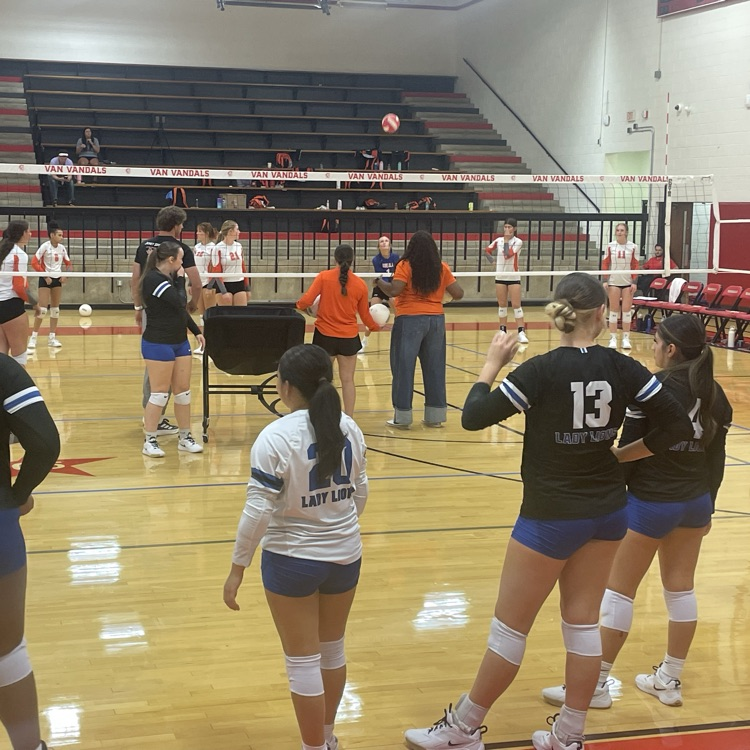 volleyball players on court