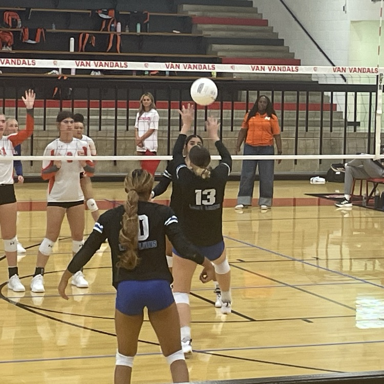 volleyball players on court