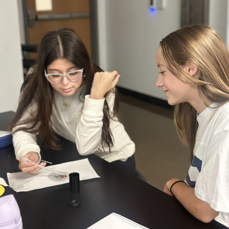 8th grade students investigated the properties of water