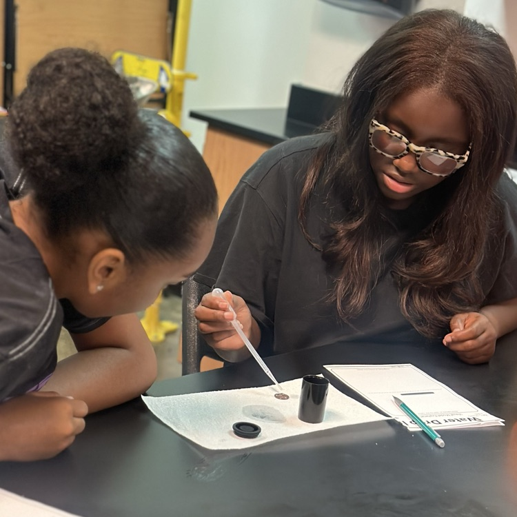 8th grade students investigated the properties of water