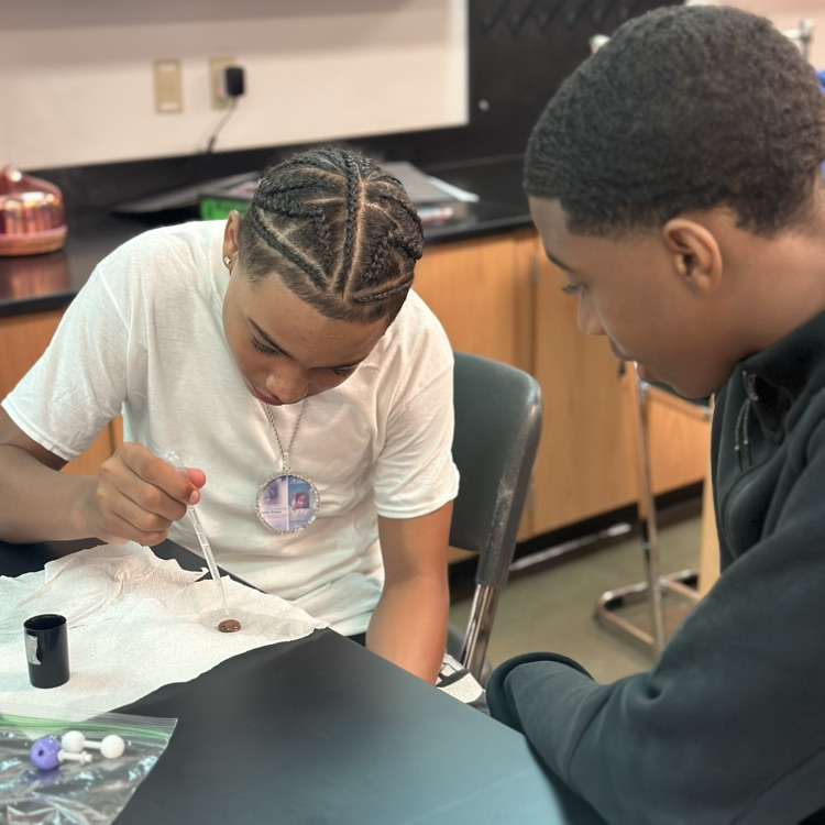 8th grade students investigated the properties of water