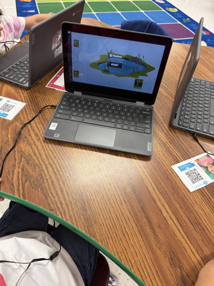 student learning on Chromebook 