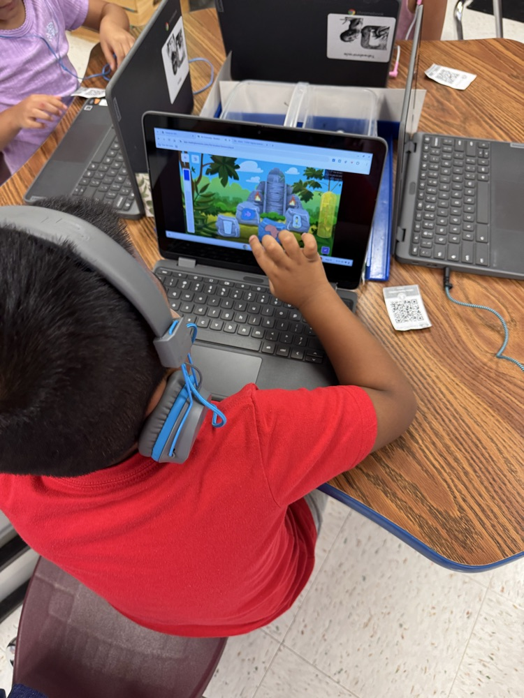 student learning on Chromebook 