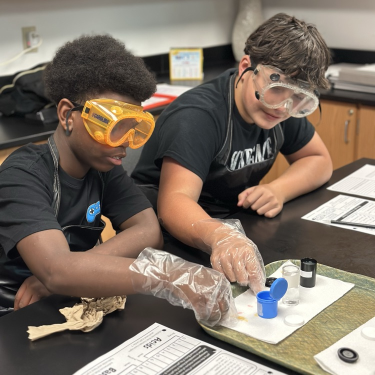 student investigating aqueous solutions