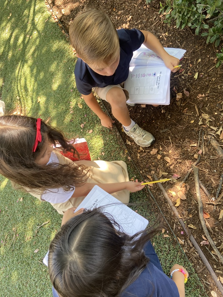 kids observing outdoors