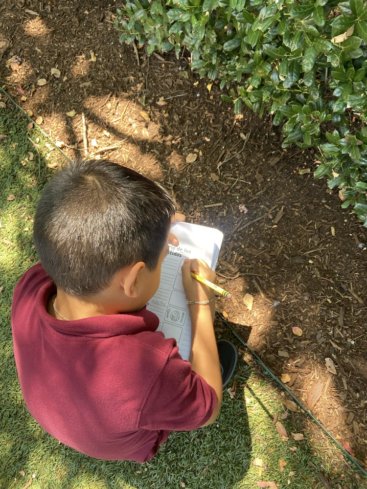 kids observing outdoors