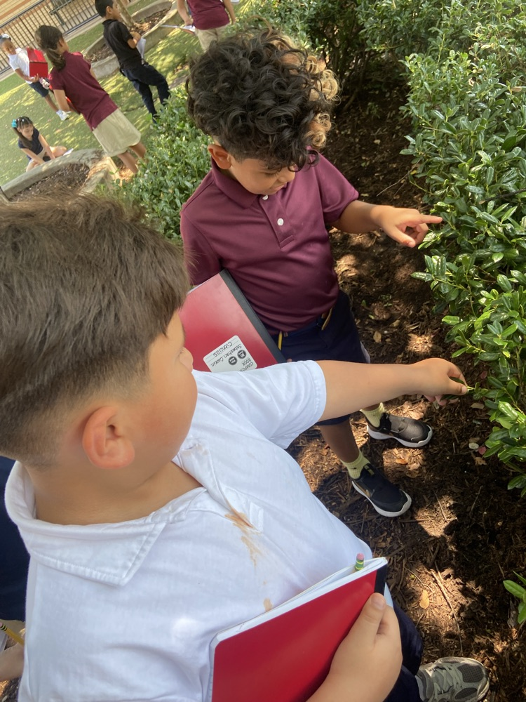 kids observing outdoors