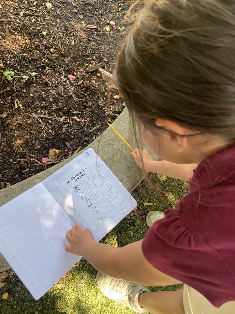 kids observing outdoors
