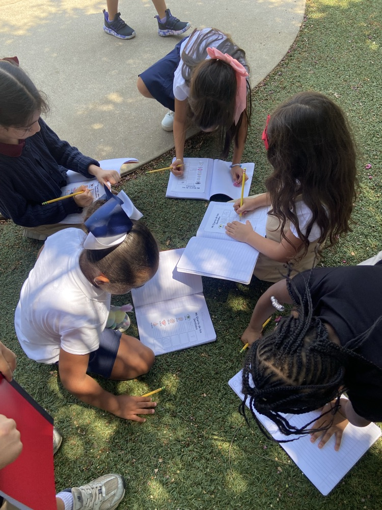 kids observing outdoors