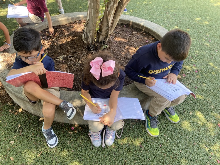 kids observing outdoors