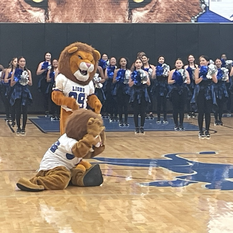 mascots on the floor