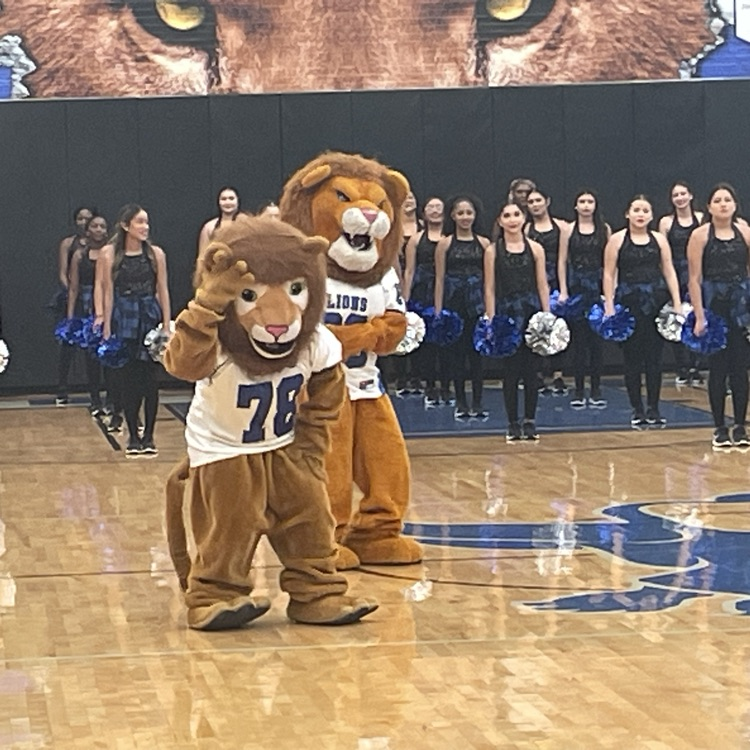 mascots performing on the floor
